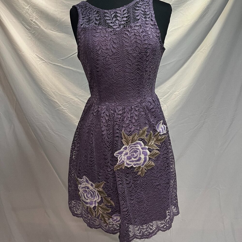 Francescas Purple Lace Dress